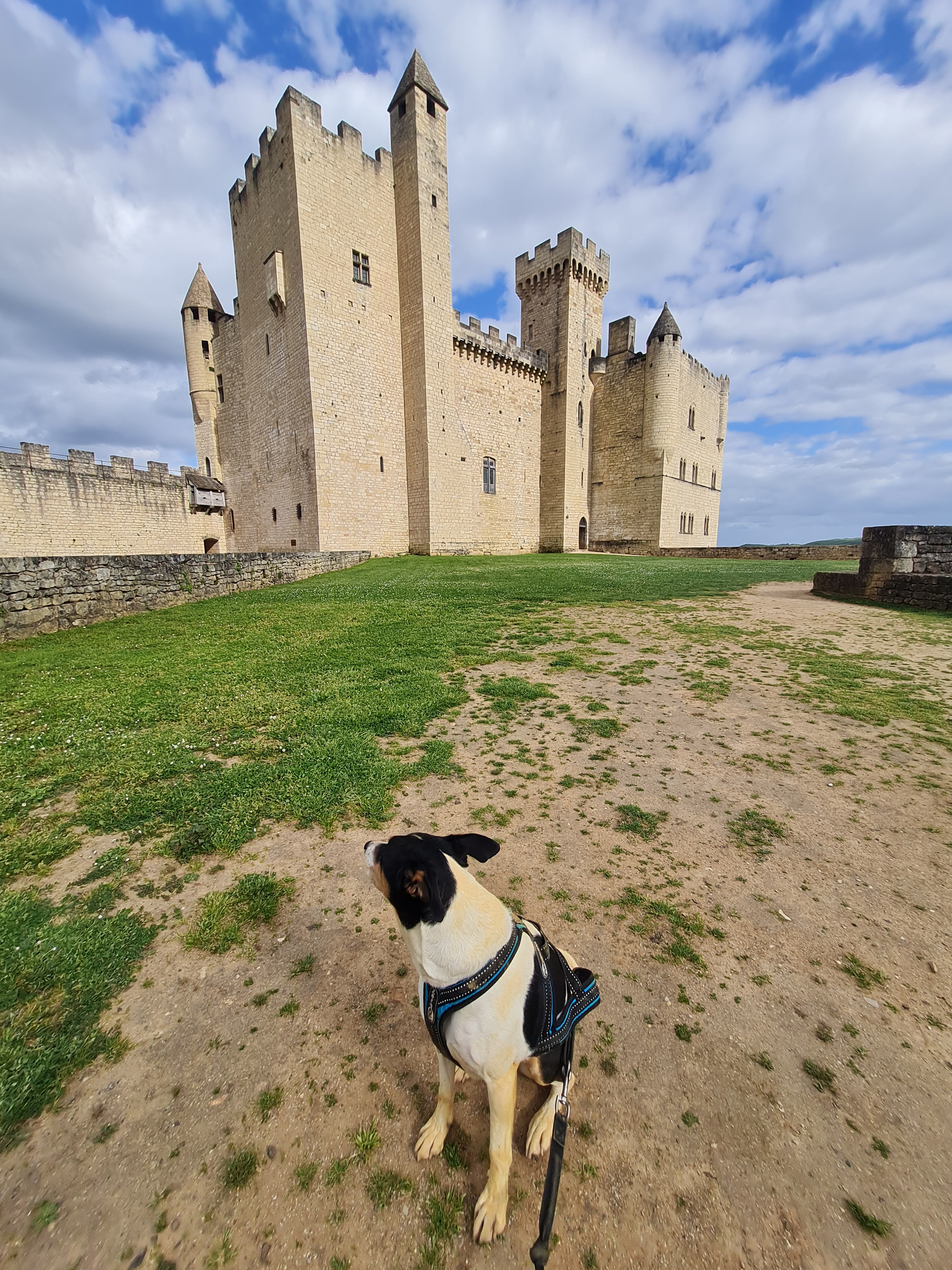 3 sites incontournables à découvrir le long de la Dordogne