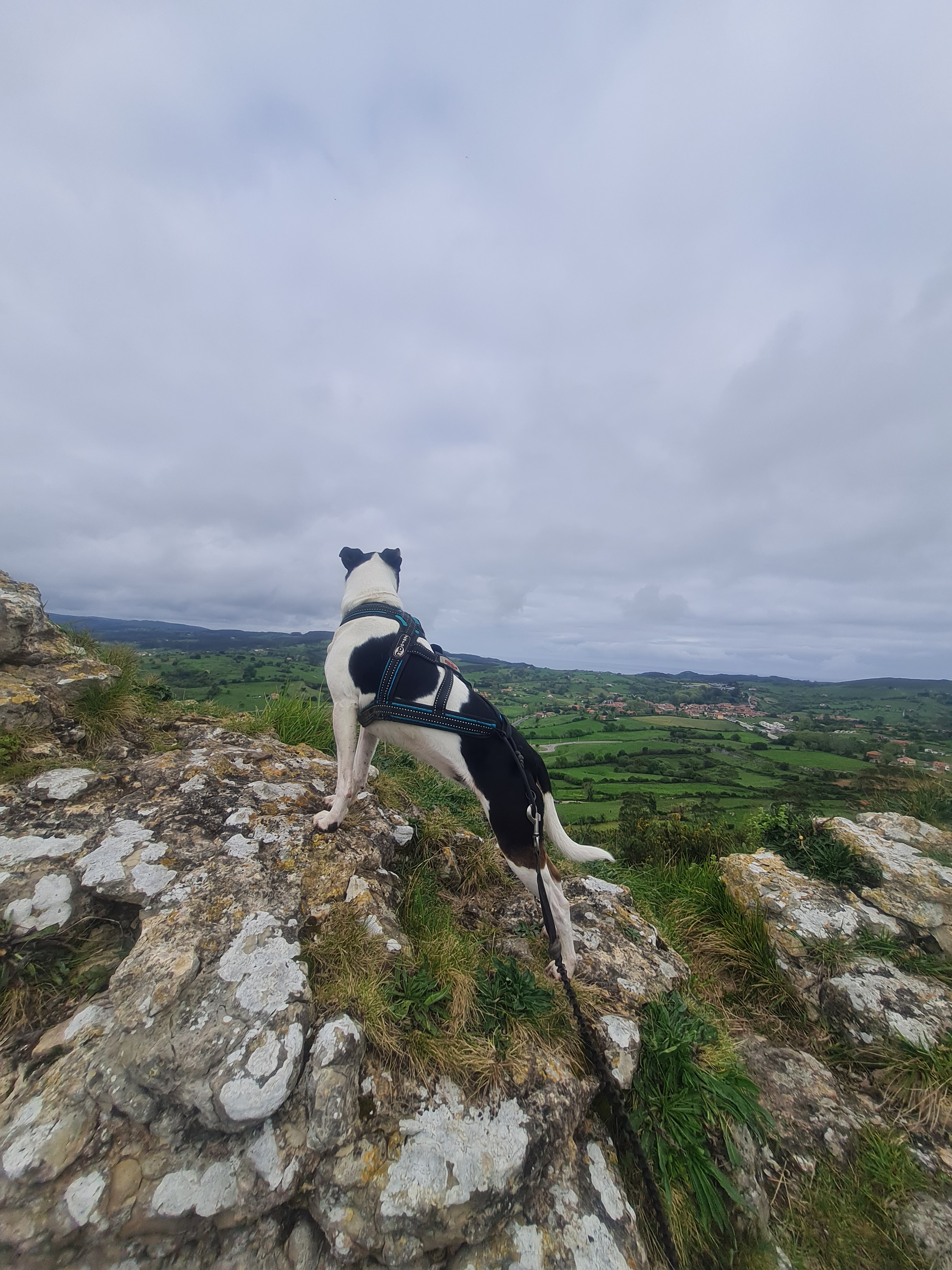 2 randonnées à faire avec son chien à Santillana del Mar